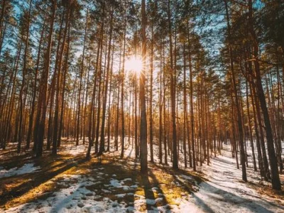 400:300?src=%2 Fimages%2 Fnews%2 Fcanva-MAFE-8RD Vu0 300 400 img 400:300?src=%2 Fimages%2 Fnews%2 Fcanva-MAFE-8RD Vu0 300 400 img