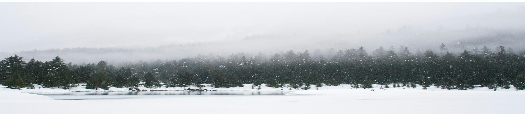 snow covered frozen lake with trees and hills covered in fog in the back ground
